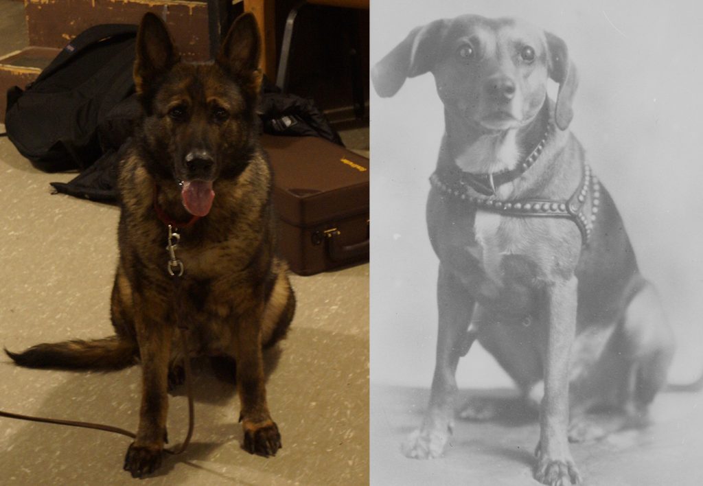 Missy Schwarz, 2016 (left) pictured with Mike "the radio hound" Fillmore, ca. 1930 (right).