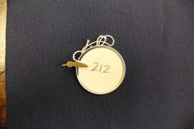 Artifact 212: Pin, Illiola, Feather-shaped with UI