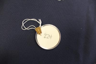 Artifact 224: Pin, National Honor Society with Torch