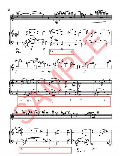 Divertimento with notes sample p2